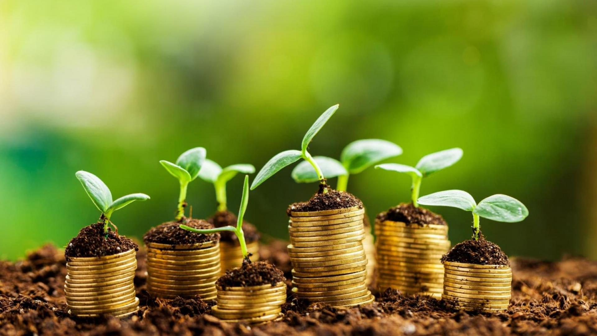 Economic revitalization of El Salvador