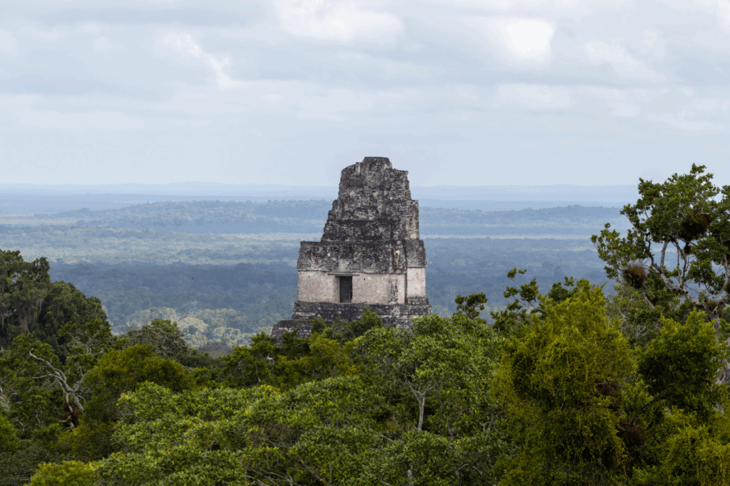 Guatemalan companies will have new deadline to obtain corrective environmental instrument and environmental license