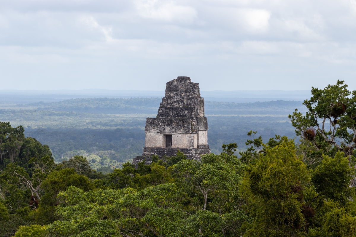 Guatemalan companies will have new deadline to obtain corrective environmental instrument and environmental license