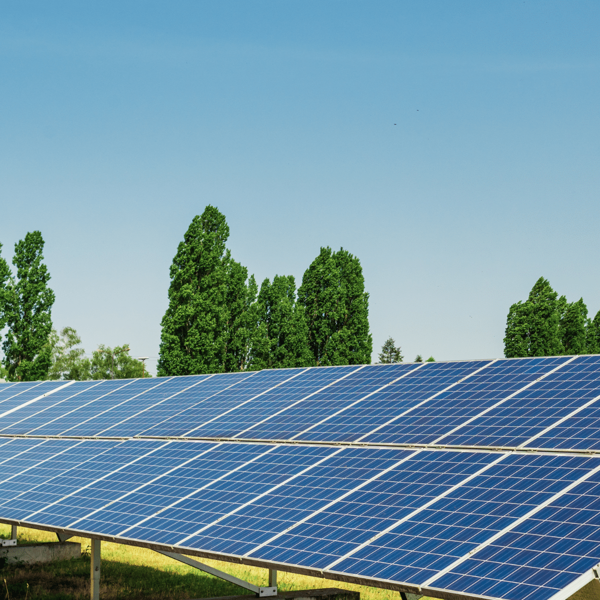 Costa Rica: ICE launches new tender to add 100 megawatts of solar plants