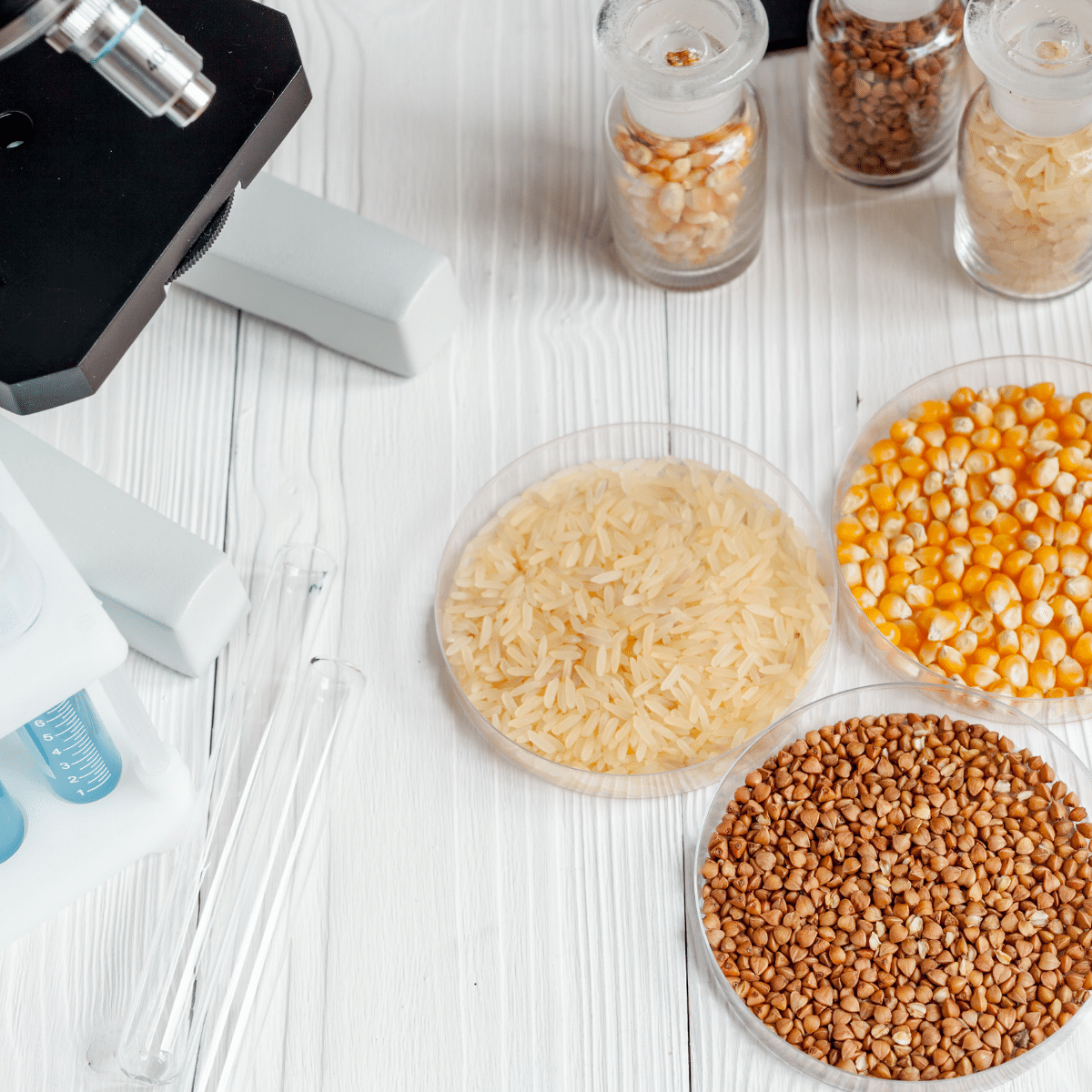 Honduras modifica tasas de análisis agroalimentarios